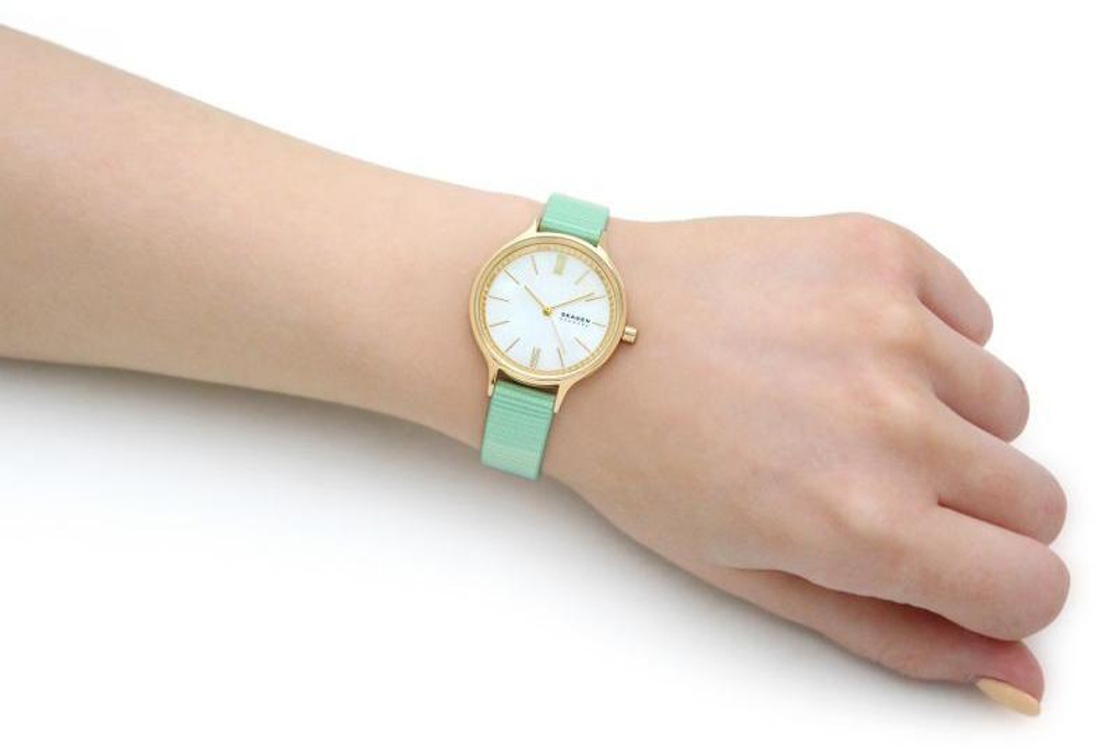 Женские наручные часы Skagen SKW2905