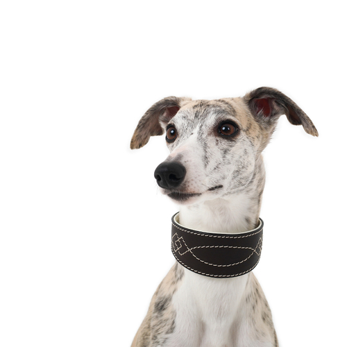 Ошейник DOGLEA LUXURY коричневый/бежевый