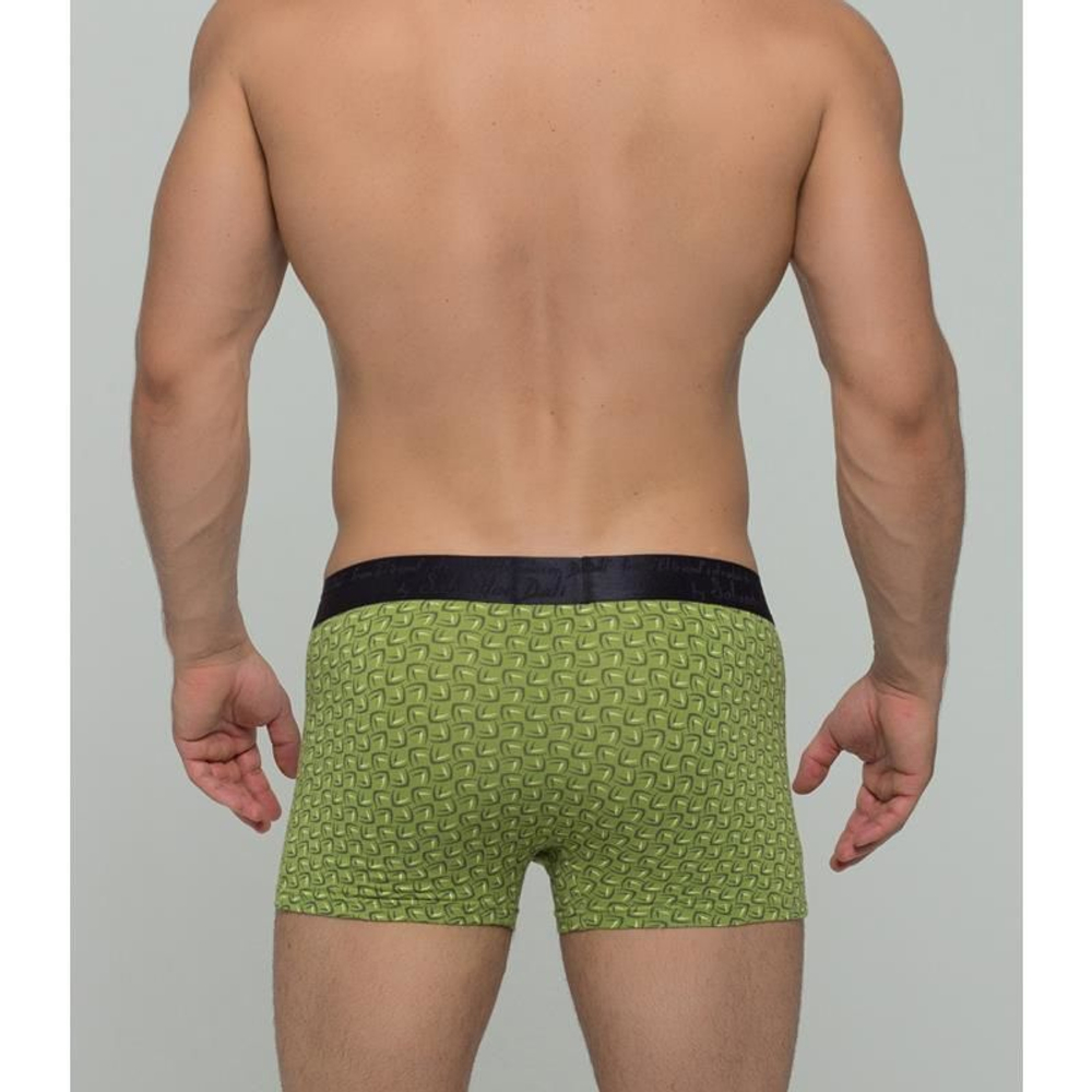 Мужские трусы боксеры зеленые Salvador Dali SD2023-4