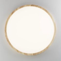 Citilux БейсикCL738322V LED Светильник накладной Клён