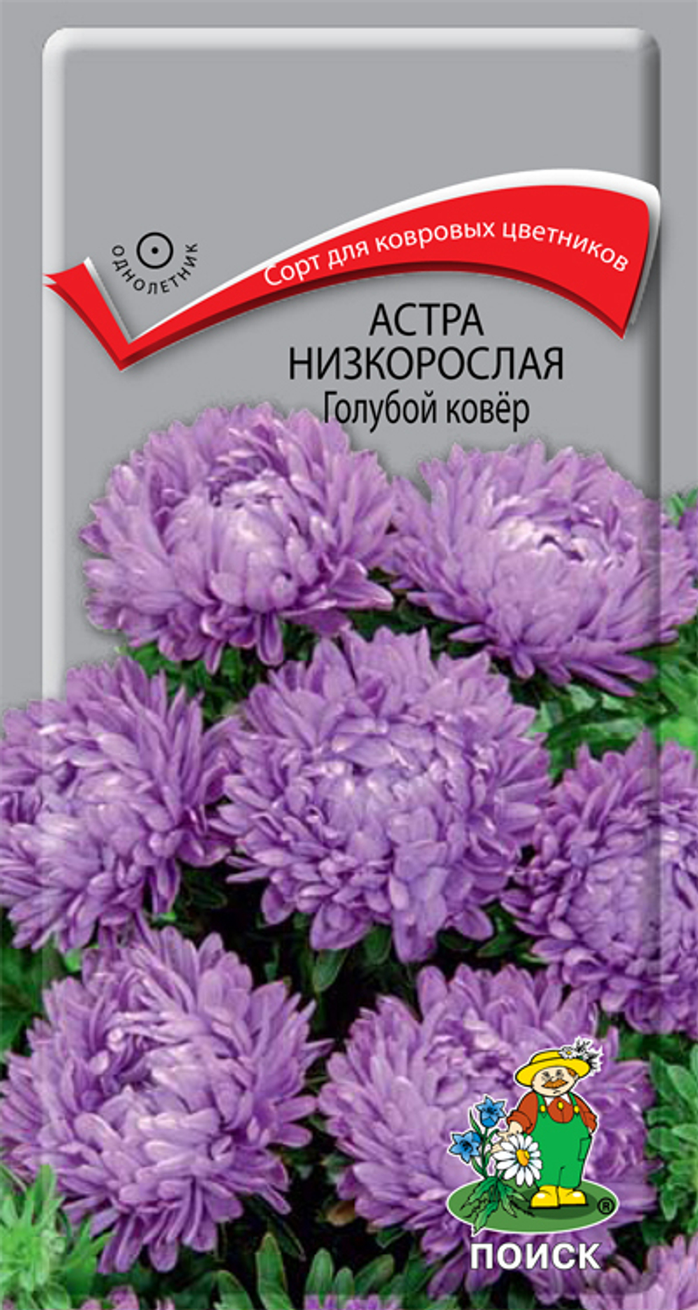 Астра Голубой ковер низк. 0,2г Ц Поиск