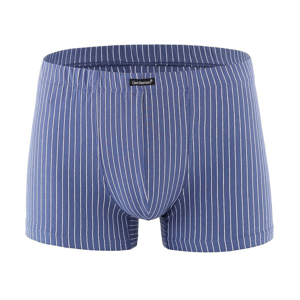 Удобные мужские боксеры в полоску (Размер: XXL) (Цвет: голубой)