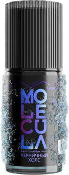 Ароматизатор Molecula Halls Черничный холс