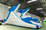 Водная надувная горка «Умный дельфин», 10*4*5 м