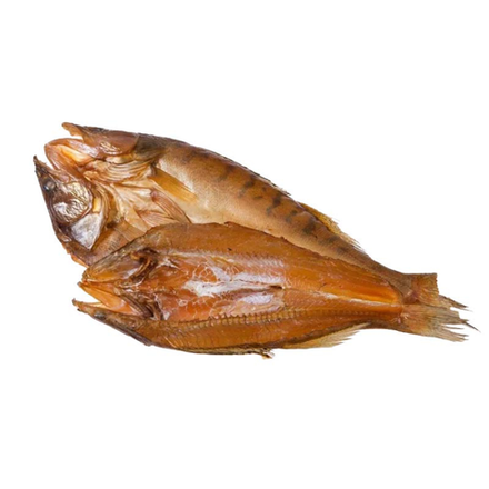 Рыба Берш (1573)