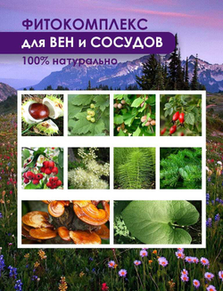 Фитокомплекс для вен и сосудов 60 капсул
