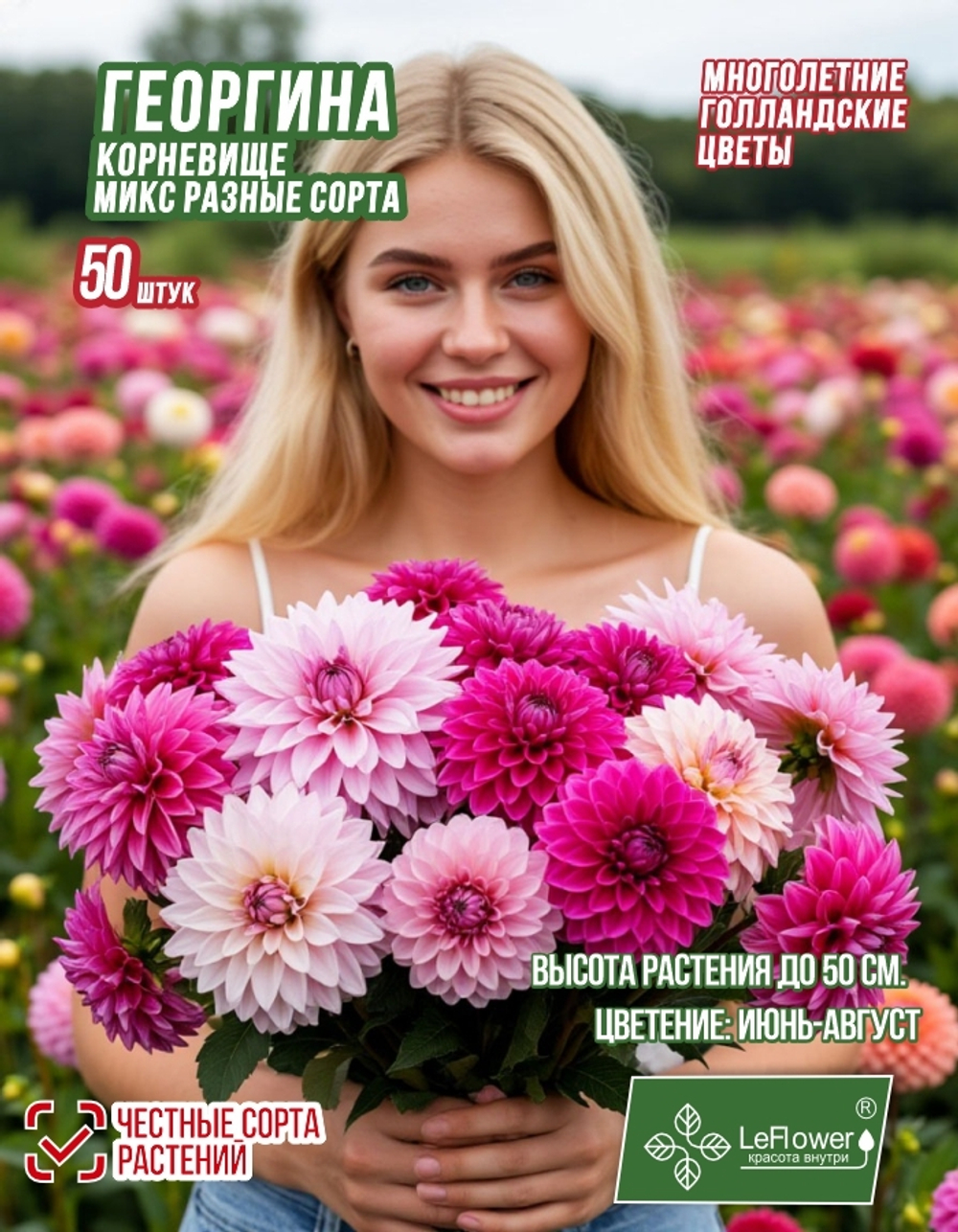 Георгина Корневище, Микс сортов, 50шт