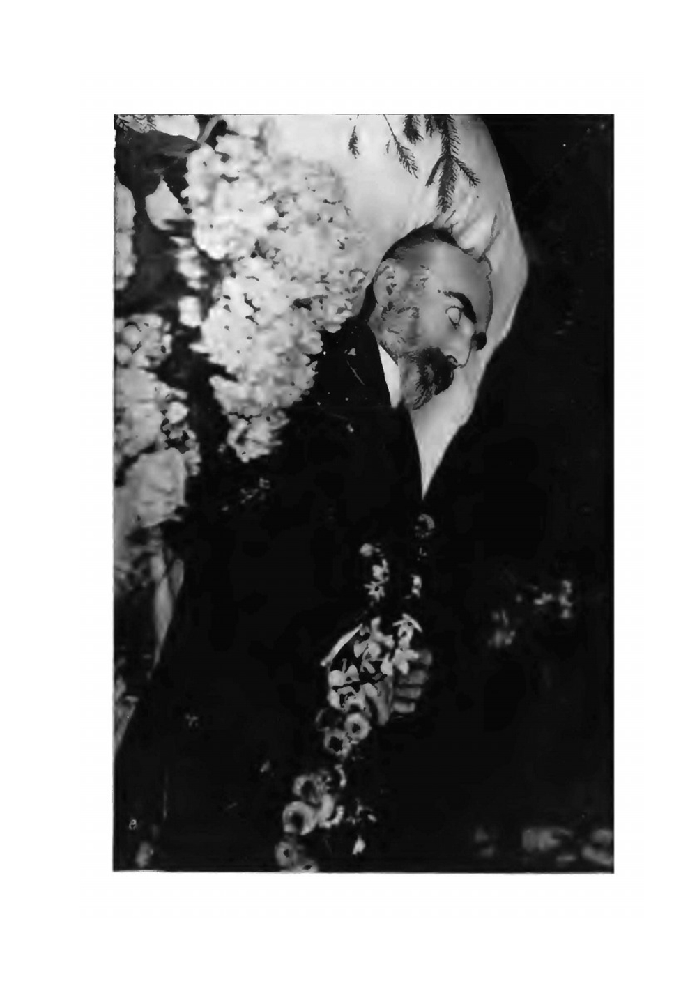 Год на родине. Том 2 | Г.В. Плеханов