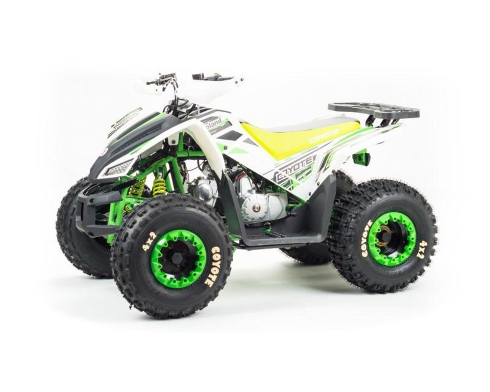 Квадроцикл Racer RC110 Coyote (зеленый)