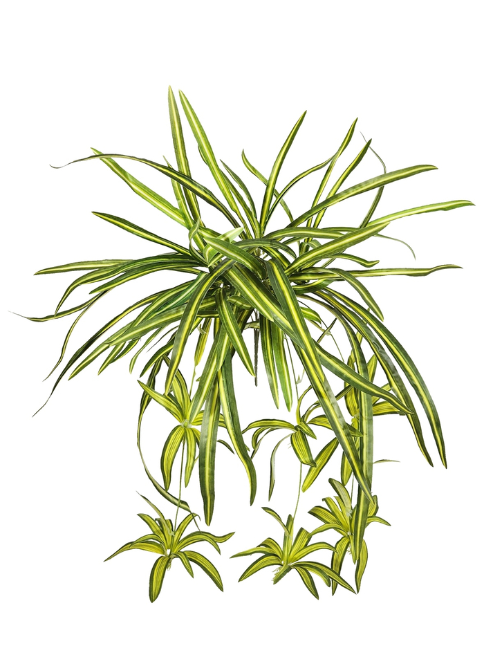 Искусственный Хлорофитум хохлатый