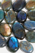 Лабрадор палмстоун S