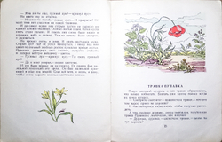Павлова Н. Желтый, белый, лиловый. Худ. Алфеевский В. М.- М., Детгиз 1958г.