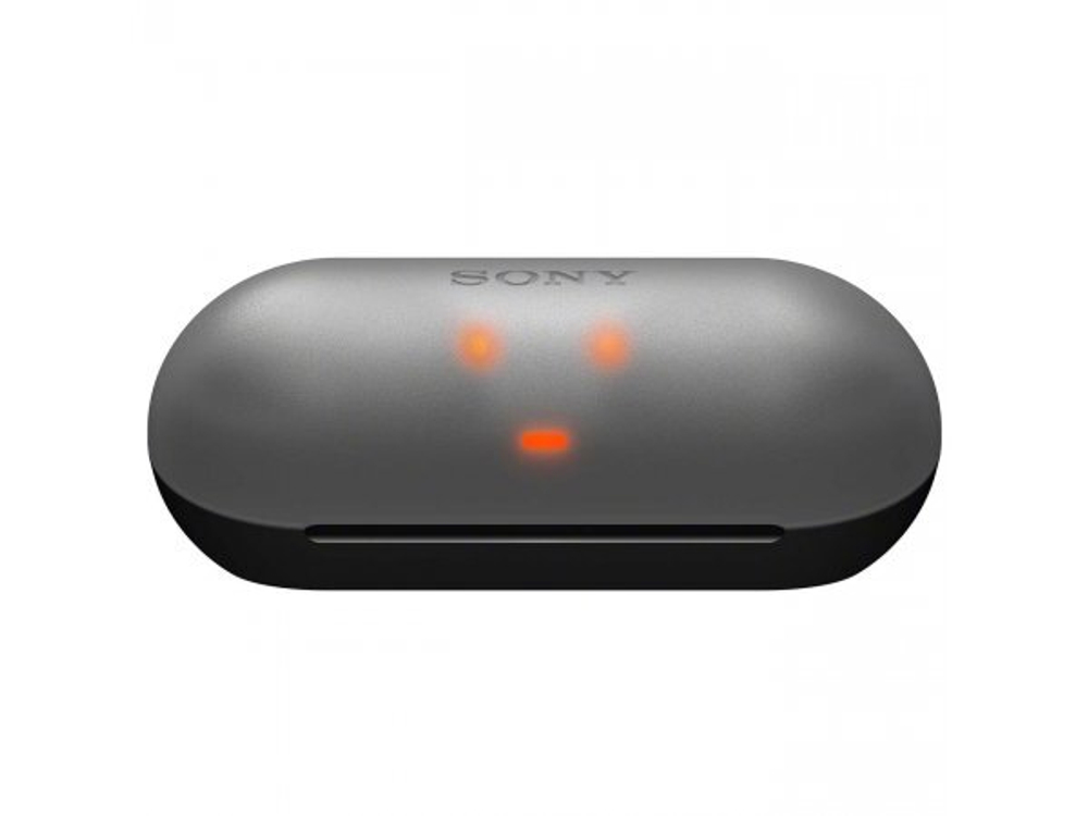 Беспроводные наушники Sony WF-C500 black