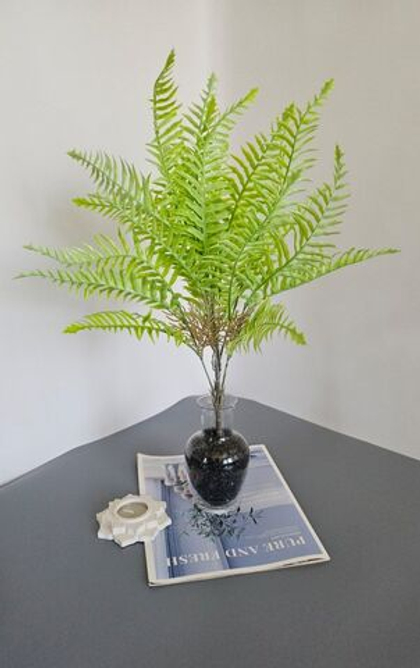 Куст папоротника с корешками / Арт 5151