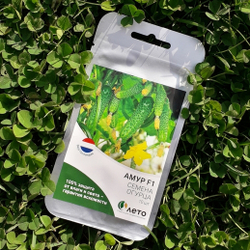 Cемена огурца Амур F1,  Bejo,  7 шт.