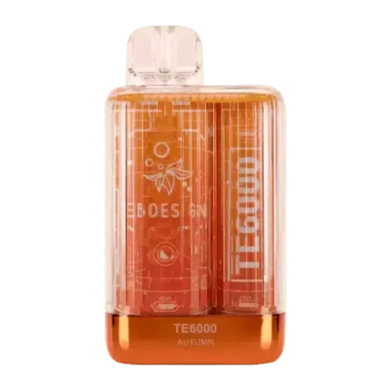 Elf Bar TE6000 - Autumn (5% nic)