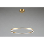 Подвесная светодиодная люстра Aployt Armel APL.049.13.40