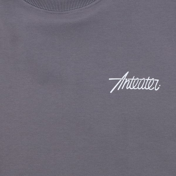 Футболка Anteater Phat Tee 480 (grey) артикул: - купить в магазине Дайс