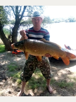 Леска монофильная "Beluga"