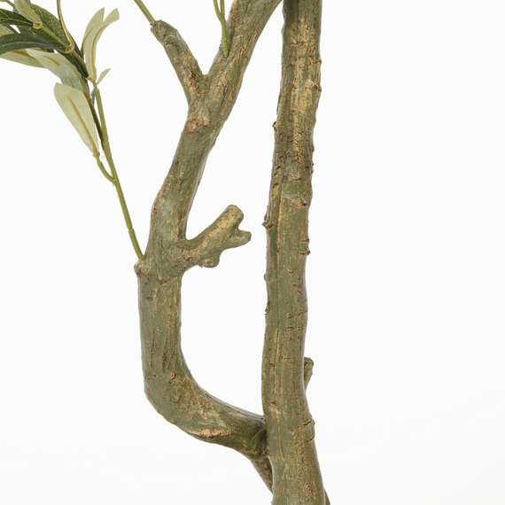 Оливковое дерево высота 172 см