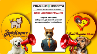 Шерсть как шёлк: собираем домашний арсенал для длинношёрстной собаки.
