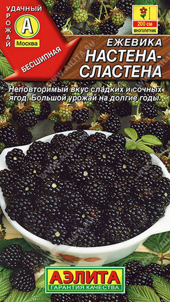 Ежевика "СТ. Настена-сластена" 15шт., Россия. Ежевика "СТ. Настена-сластена" 15шт., Россия.