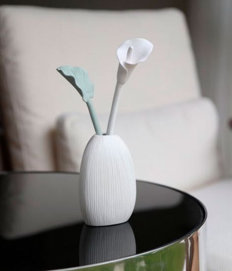 Sleeping Lily Purity, ароматический диффузор с необычными палочками, Chando