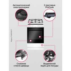 Комбинированная плита Hansa FCMW590977