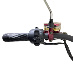 Электроскутер CityCoco GT-M6 PRO