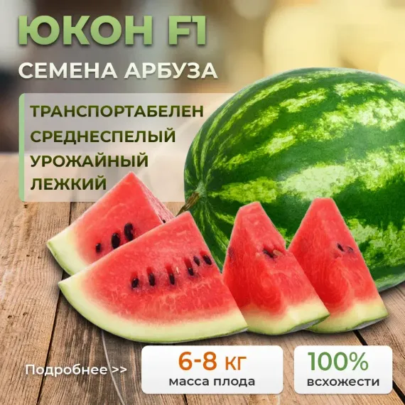 ЮКОН F1 семена арбуза (Rijk Zwaan | Alexagro)