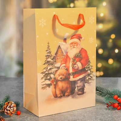 Пакет бумажный 20*30*10см с ручками Крафт "Новый год" (микс 432)