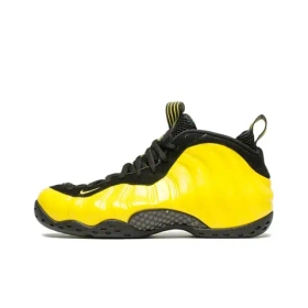 Мужские кроссовки Nike Air Foamposite One 'Wu Tang' 314996-701