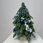 Ёлка Синий иней