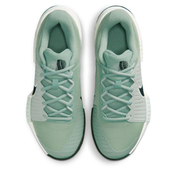 Женские теннисные кроссовки Nike Zoom GP Challenge Pro Clay - steam/black/light silver