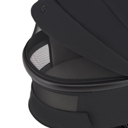 Anex Детская коляска Flo 2 в 1 Lungo