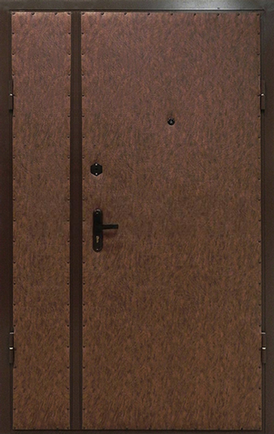Входная дверь 876