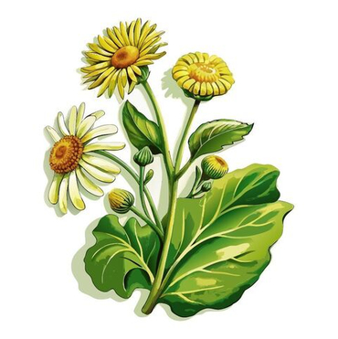 Травы, корни, плоды, кора