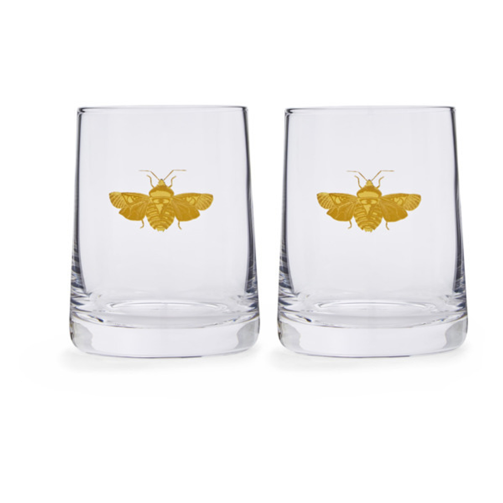 Набор стаканов 2шт 0.312л для виски Spode Диковинные создания