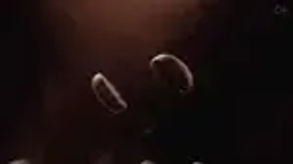 Кофе в зёрнах EGOISTE Espresso, арабика, 1 кг