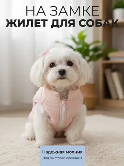 Жилет для собак