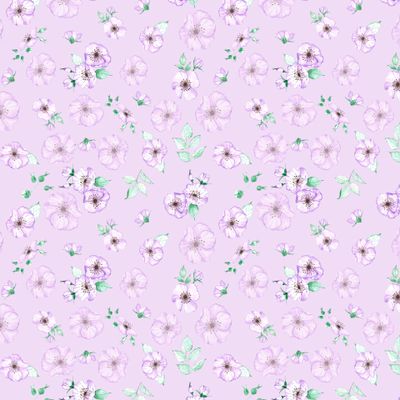 Сиреневые анемоны