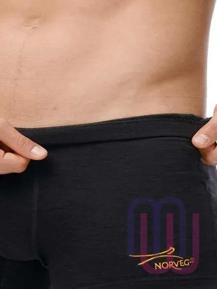 Термобелье мужское боксеры Norveg Shorts   8M100