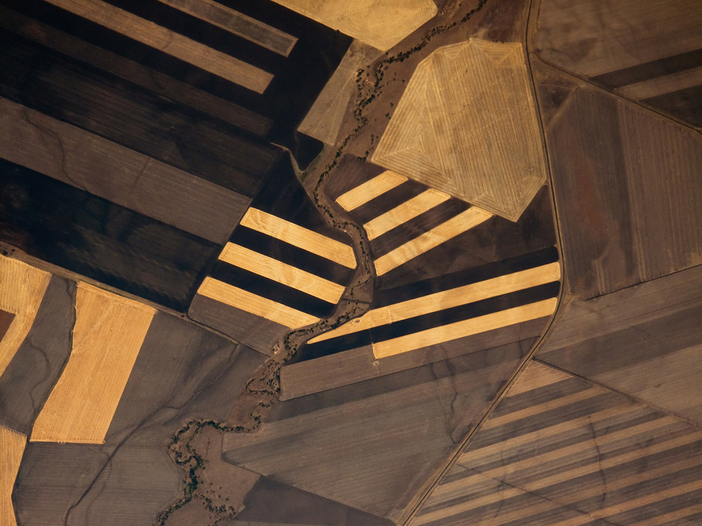 Дизайнерские обои Wall Street Bird see