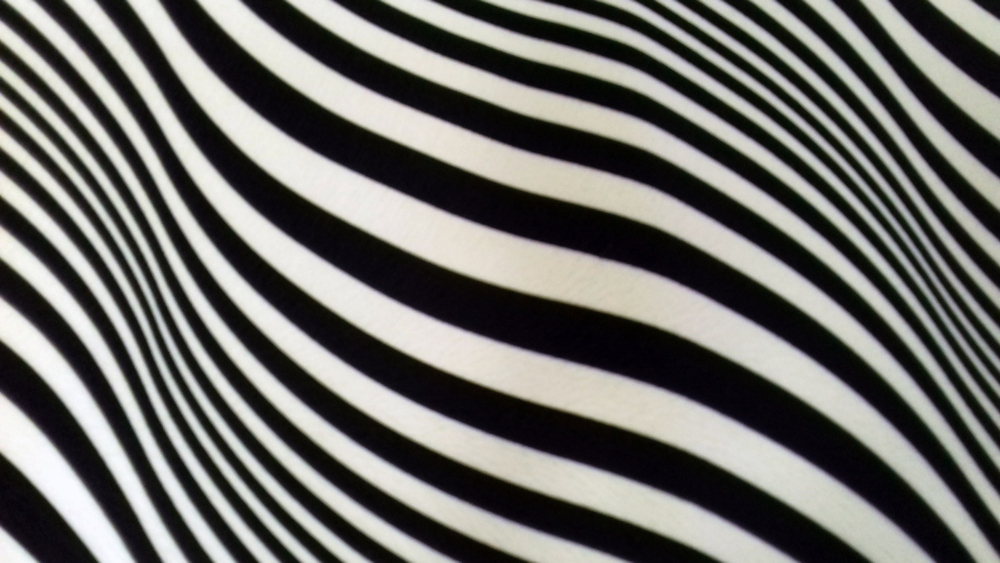 Микровелюр Xpoint 0072.01 Зебра