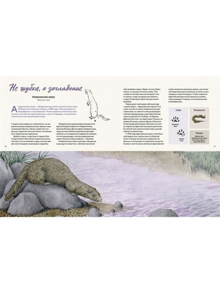 Наши соседи по планете. Рассказы о диких животных