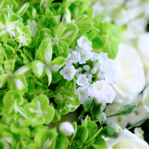 Купить Букет #380 с гортензией и белыми розами