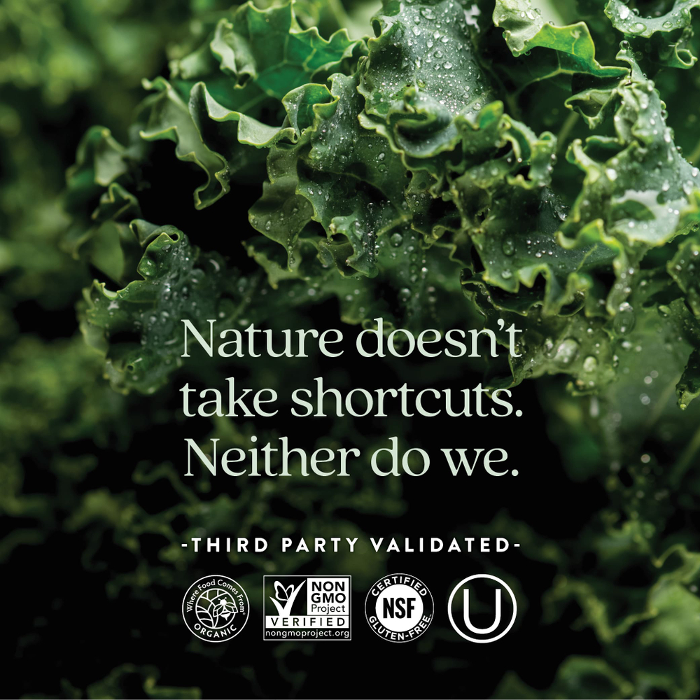 New Chapter, One Daily Every Woman's Multivitamin™ 40+, мультивитамины для женщин старше 40 лет, 96 вегетарианских таблеток