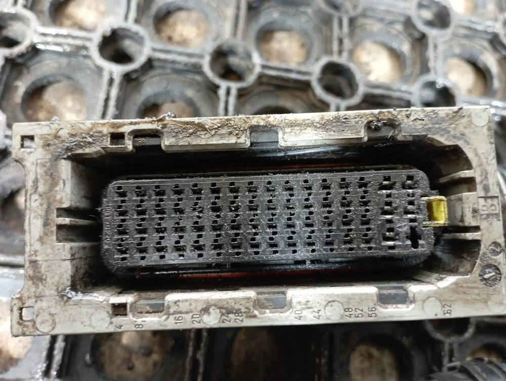 Проводка двигателя DXI11