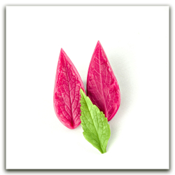 Листья колокольчика