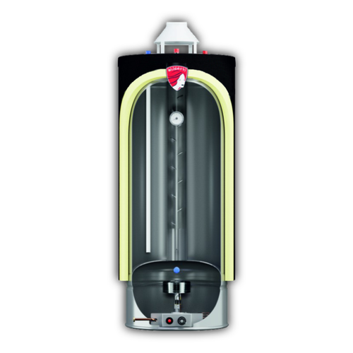 Водонагреватель газовый Federica Bugatti Inox WH50